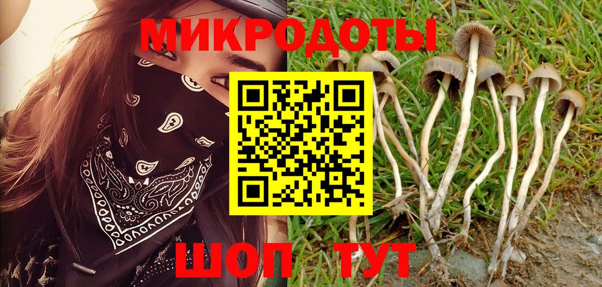 Назарово  Галлюциногенные грибы ЛСД  Вход с VPN 